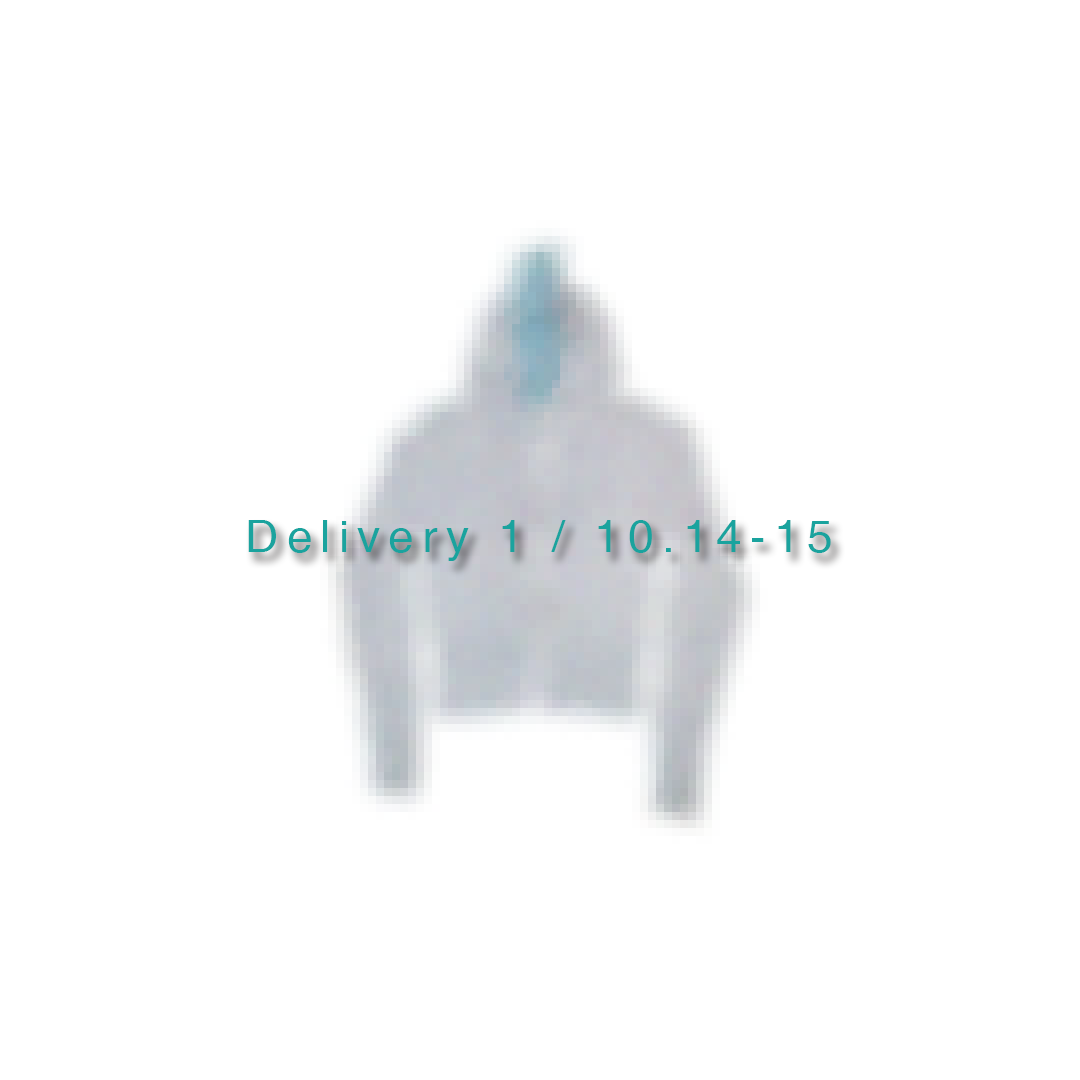 Delivery 1