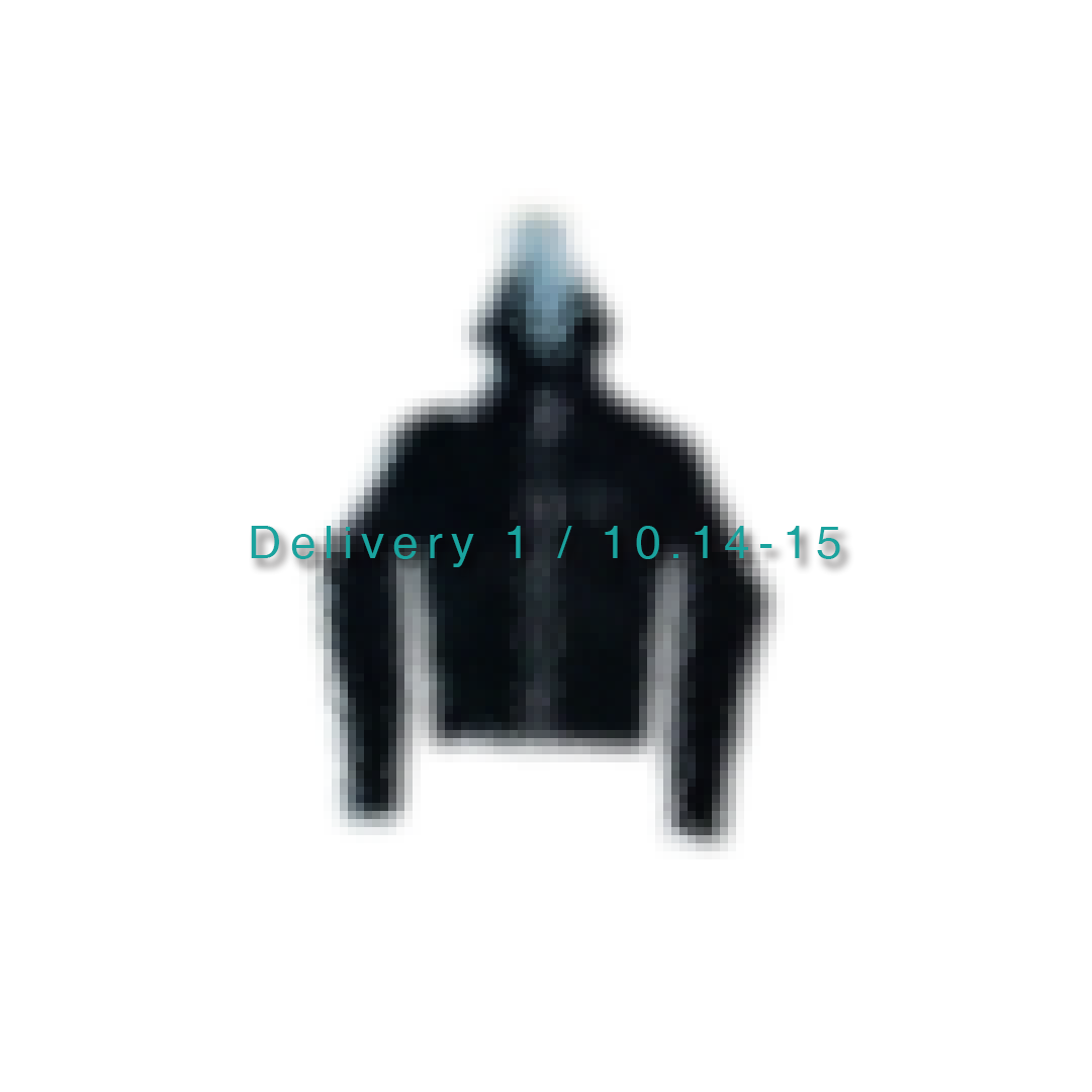 Delivery 1