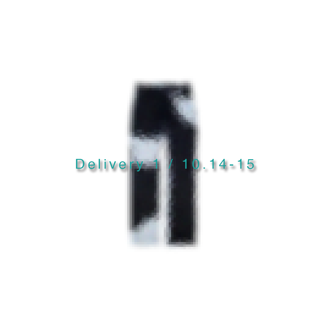 Delivery 1