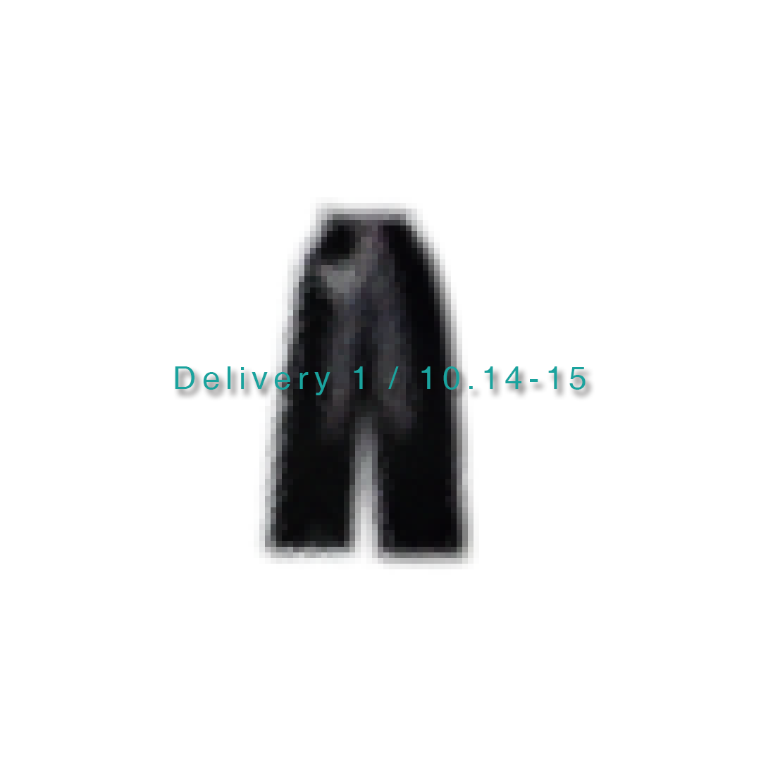 Delivery 1