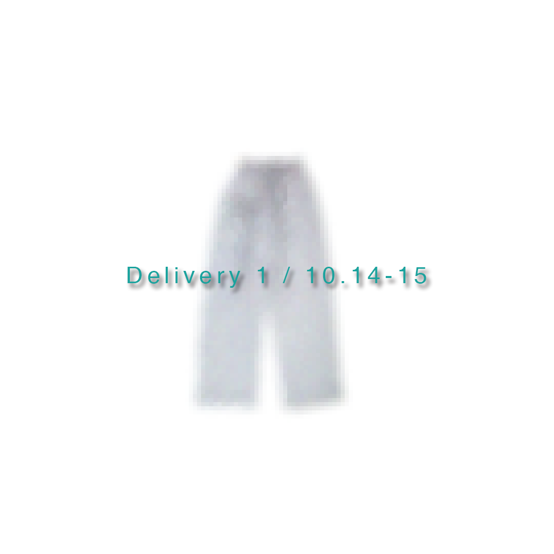Delivery 1
